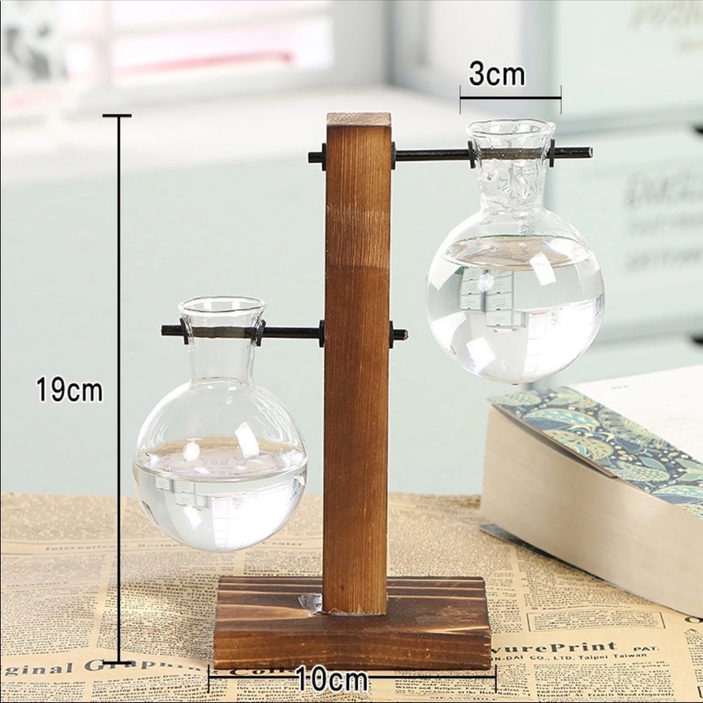 Wooden Frame Glass Tabletop terrarium 🌱 - Picture 3 of 3